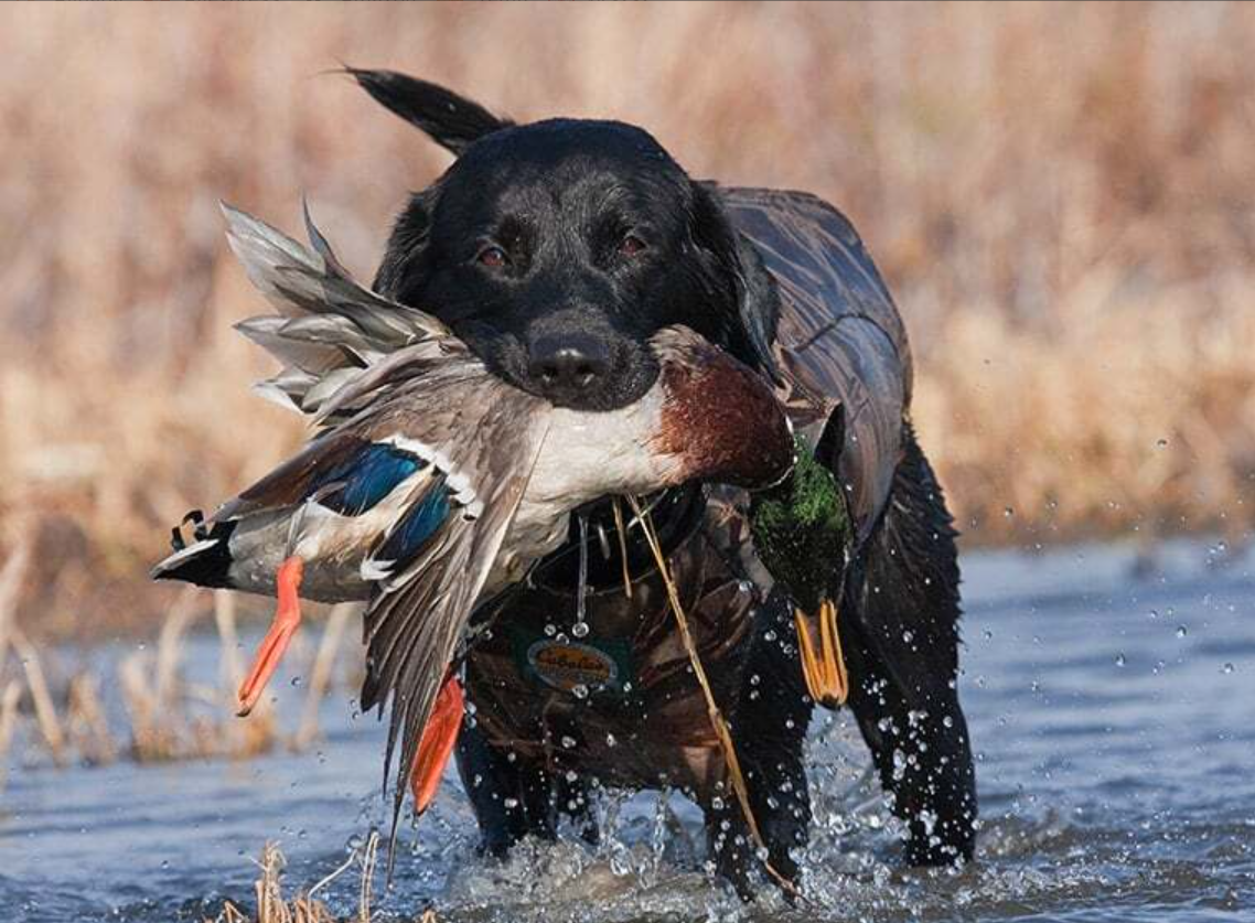 QQ截图20250802112705