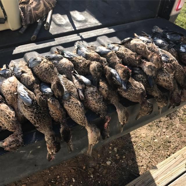 Gueydan Duck Outfitters (6) Gueydan Duck Outfitters (6)