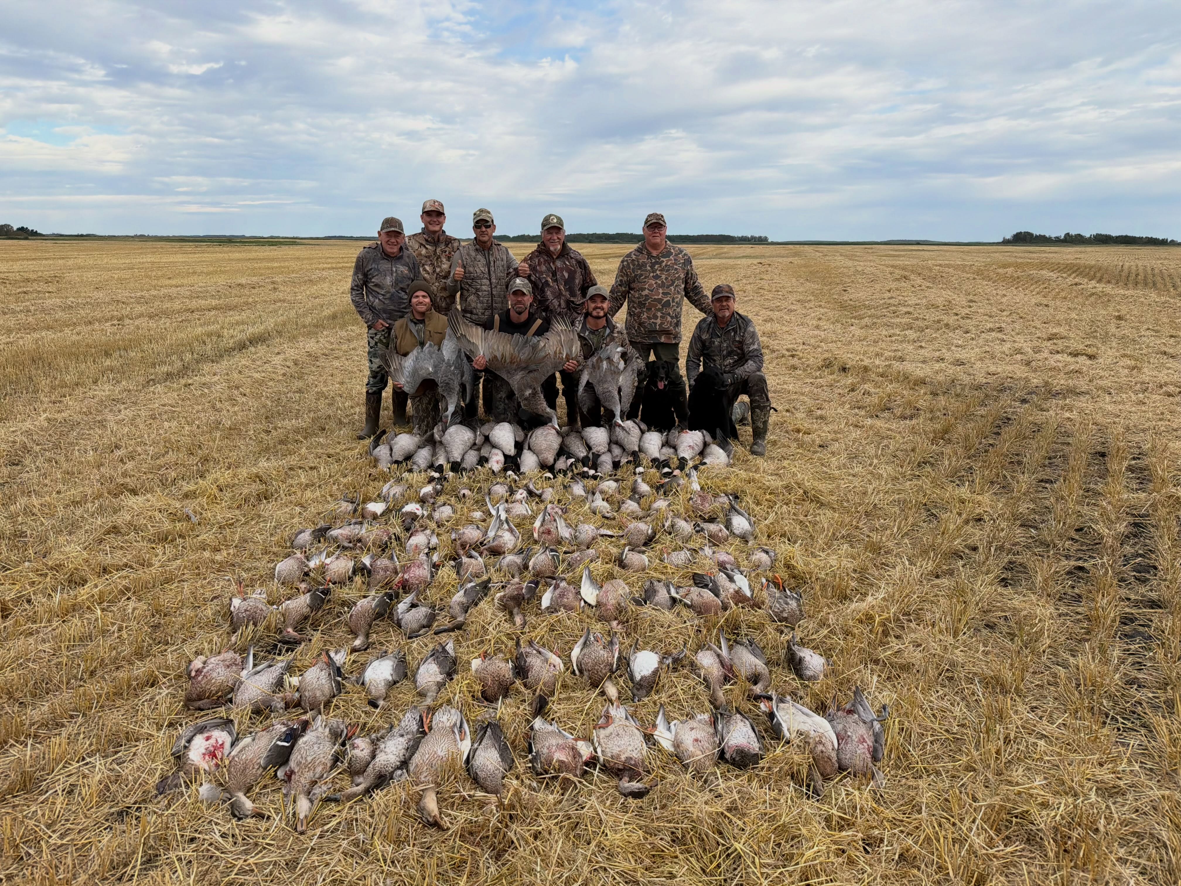 Fowl Plain (2) Fowl Plain (2)