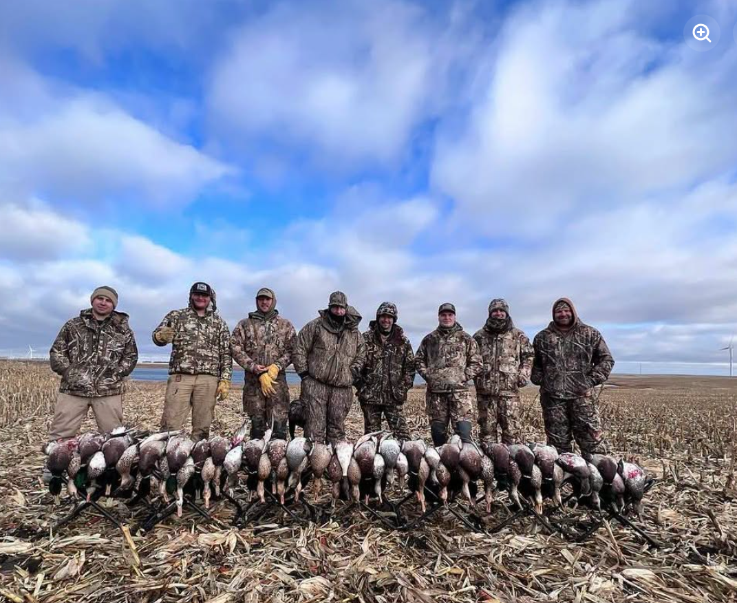 Dirty Duck (4) Dirty Duck (4)
