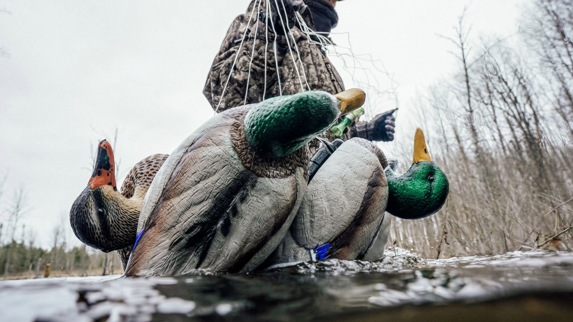 Macks Prairie Wings - Waterfowl Outfitter (7) Macks Prairie Wings - Waterfowl Outfitter (7)