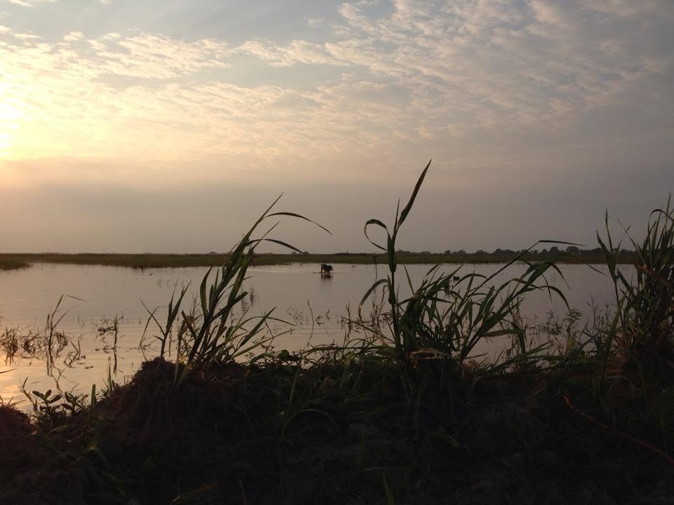 Gueydan Duck Outfitters (5) Gueydan Duck Outfitters (5)
