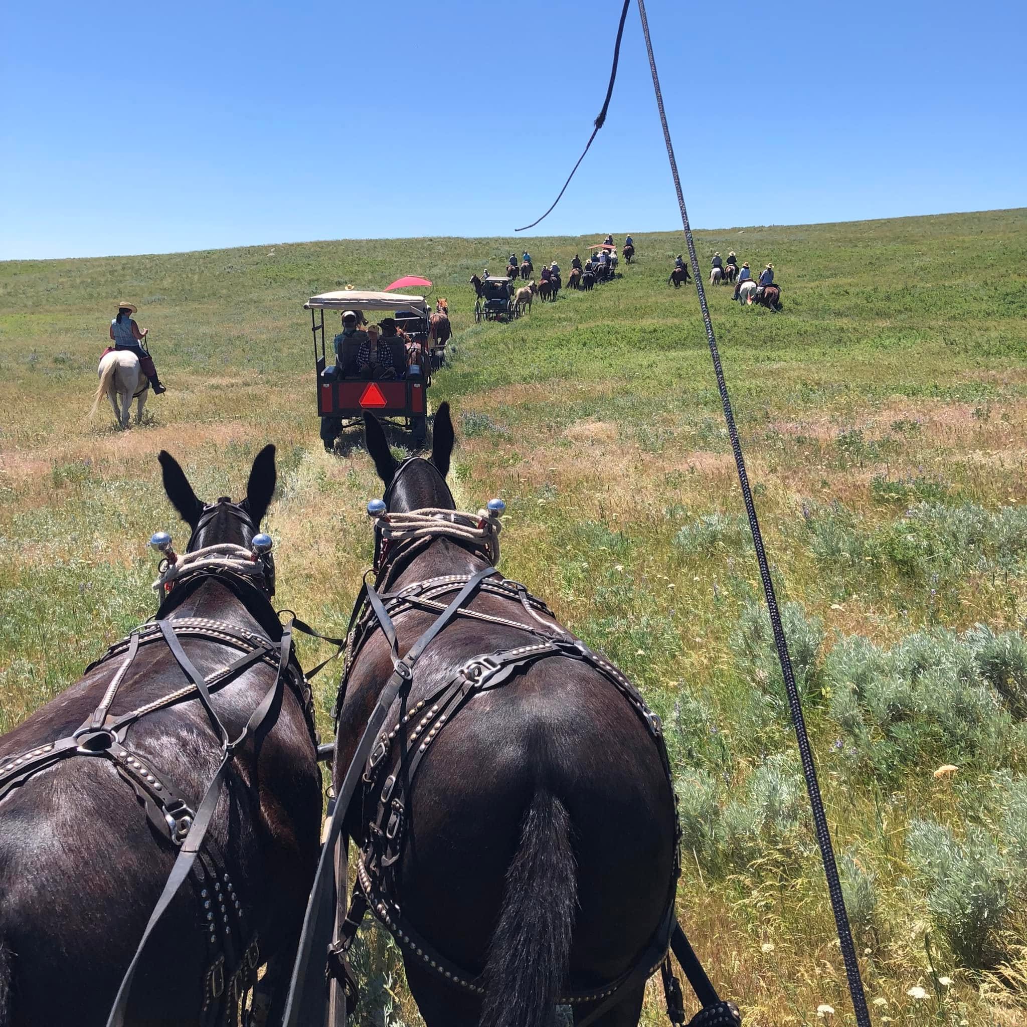 Montana Outfitter (8) Montana Outfitter (8)