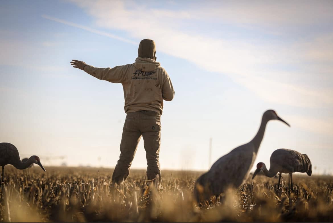 Fowl Plain (14) Fowl Plain (14)