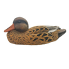 Resting Cinnamon Teal Hen 14 inch