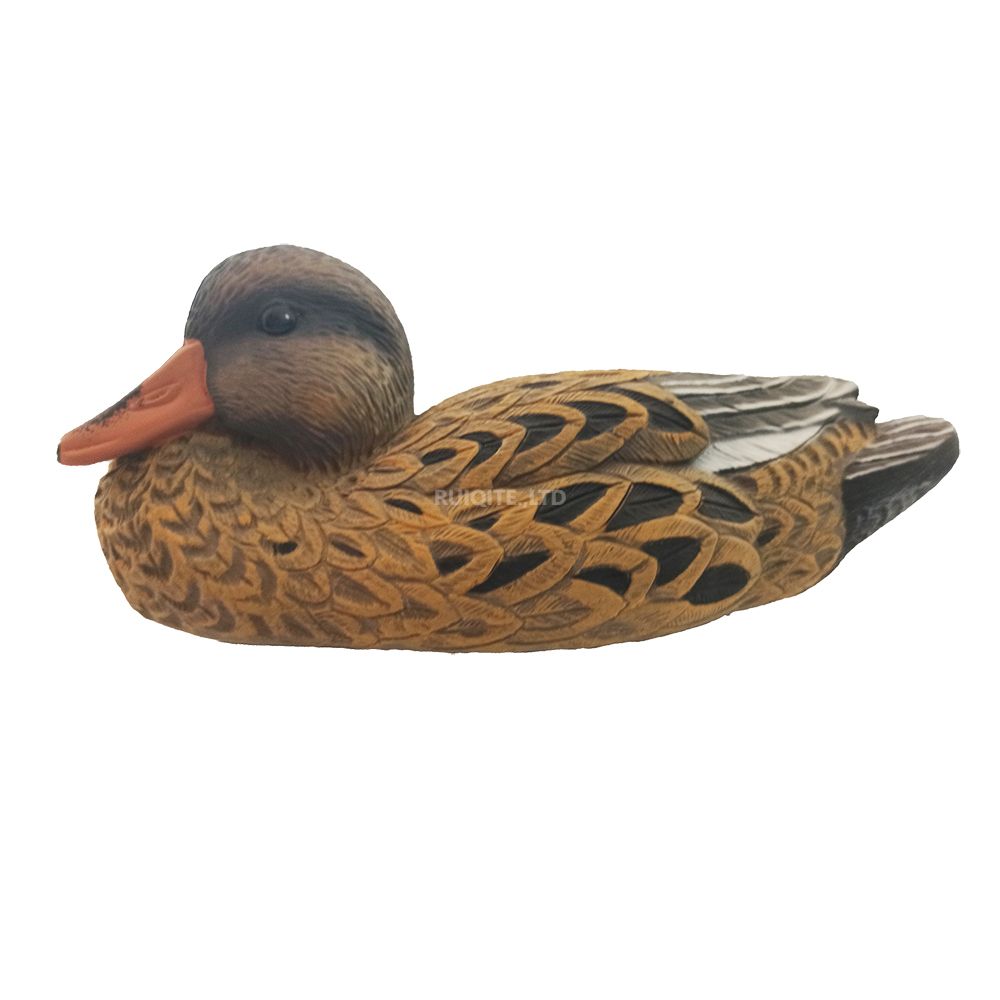 Resting Cinnamon Teal Hen 14 inch