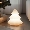 Evergreen Tree Light