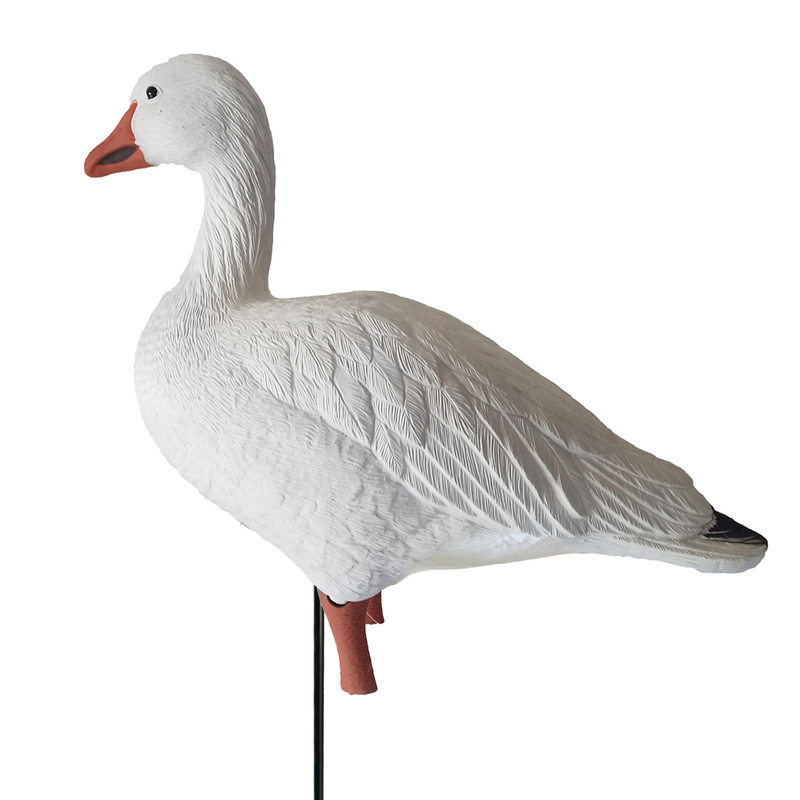 Fullbody Upright Snow Goose