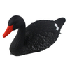 Black Swan Decoy