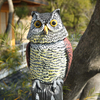 Owl Decoys-2