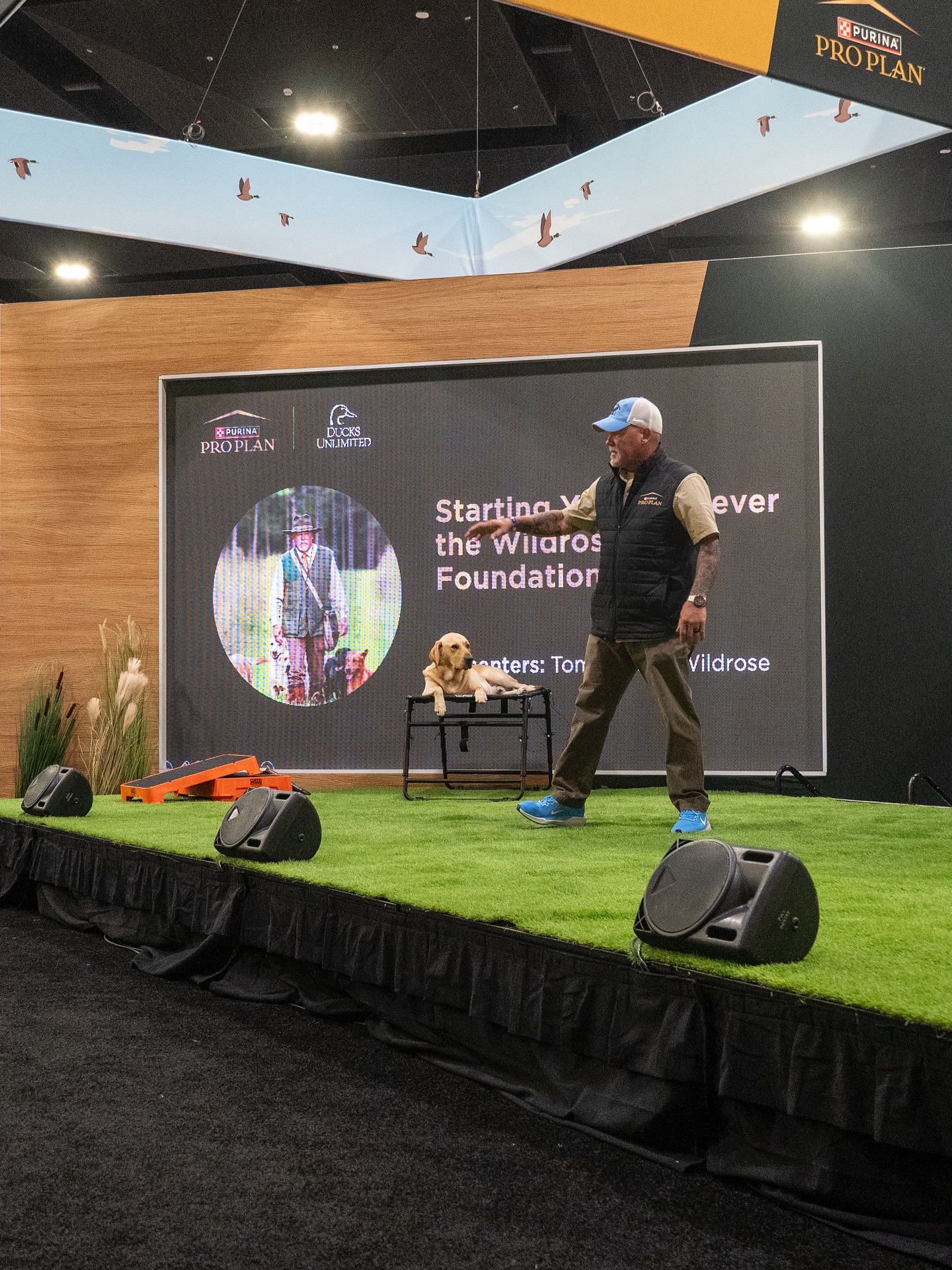 527351940_18526374004024823_2187331185959982224_n