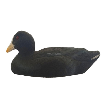 Coot Decoys