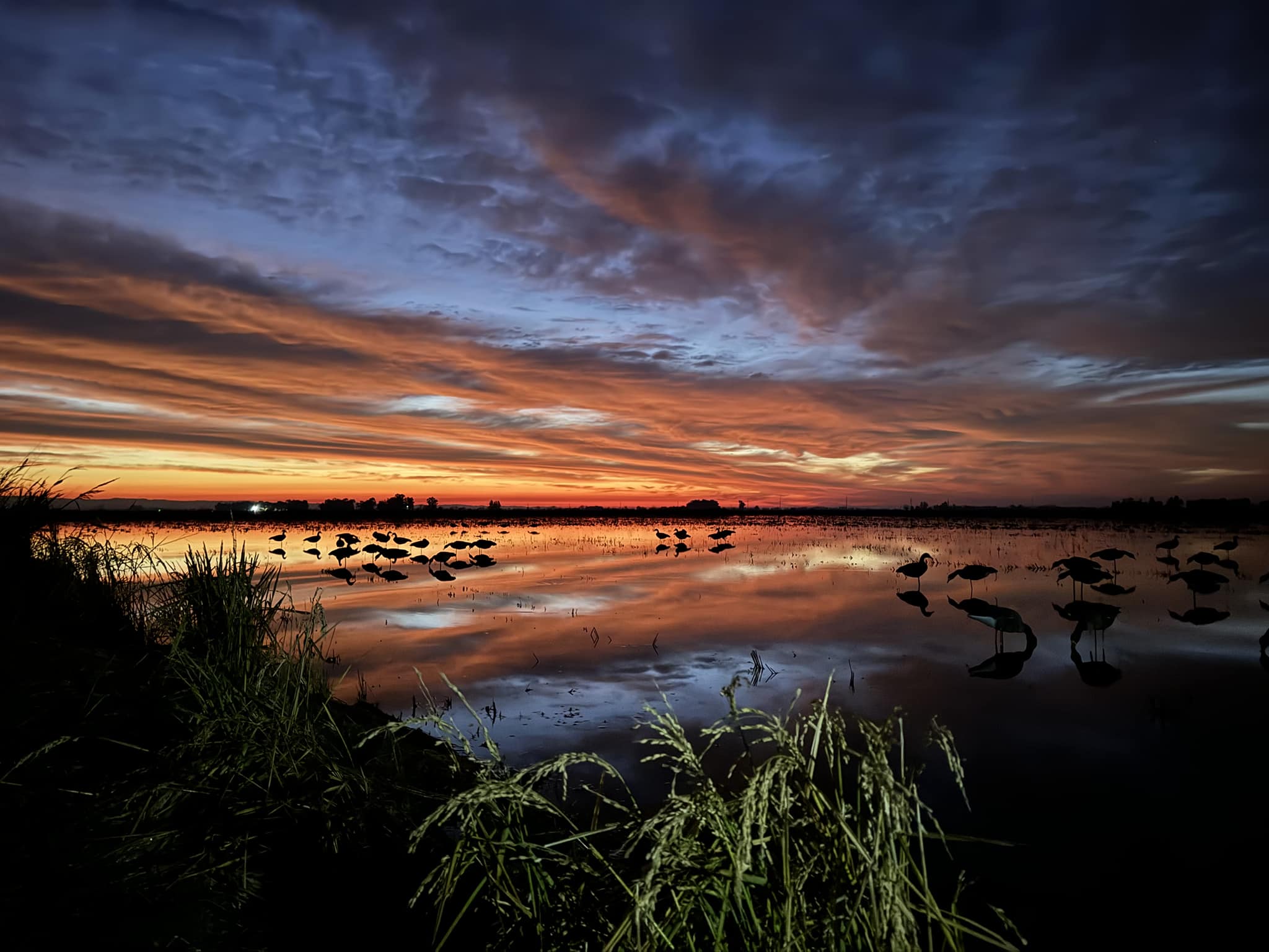 480585699_1061457979122196_4681583912693545886_n