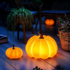 Pumpkins Outdoor Solar Lights 