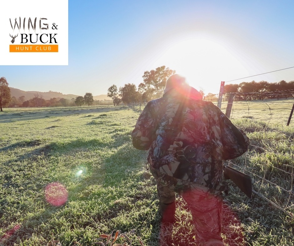 516540479_1546160119838949_3693164077267487518_n