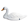 Tundra Swan Decoy