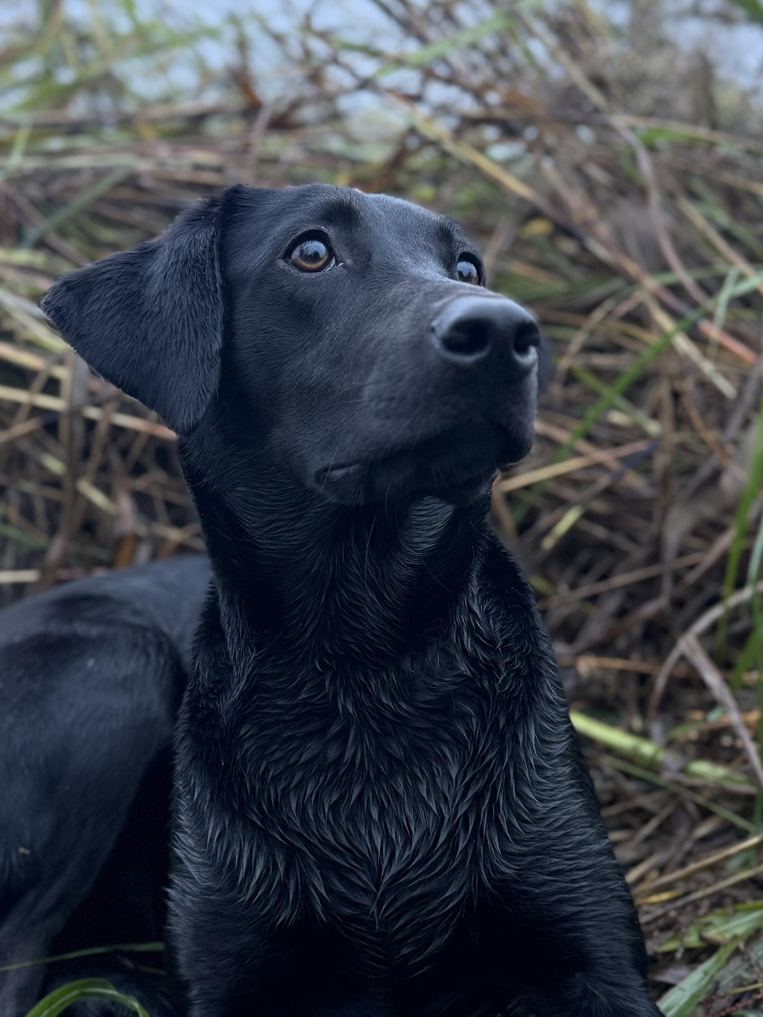 585311792_1248720607062598_527347857005163834_n