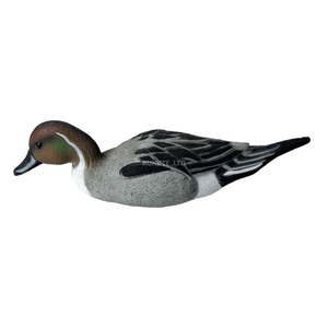 Feeder-Northern-Pintail
