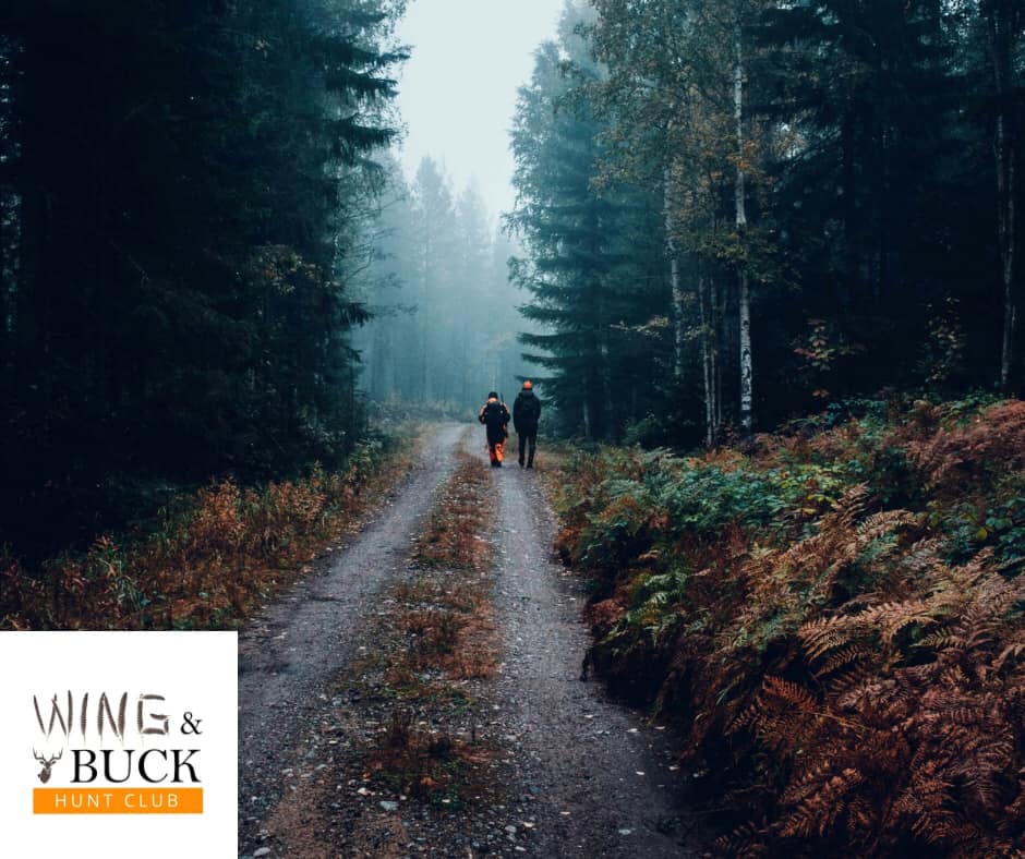 492008608_1484886949299600_7578253768199084387_n