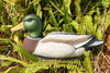 Alert Mallard Decoy