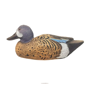 Resting-Blue-winged-Teal
