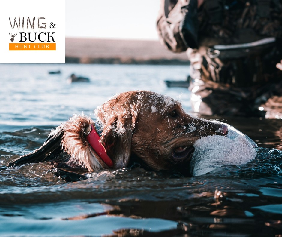 538553857_1590675292054098_5909997791928243616_n