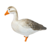 Fullbody Upright Greylag Goose