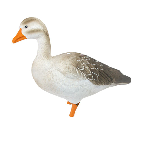 Fullbody Upright Greylag Goose