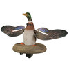 Floating Splasher-Mallard Drake 