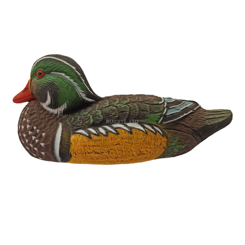 Resting Wood Duck