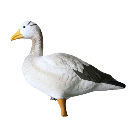 Fullbody Upright Bar-headed Goose