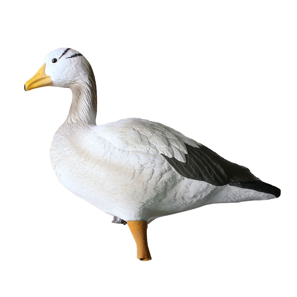 Fullbody Upright Bar-headed Goose