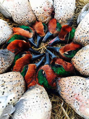 Pacific Flyway Waterfowlers (7).jpg