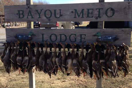Bayou Meto (1).png