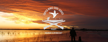 Cupped wings logo.jpg