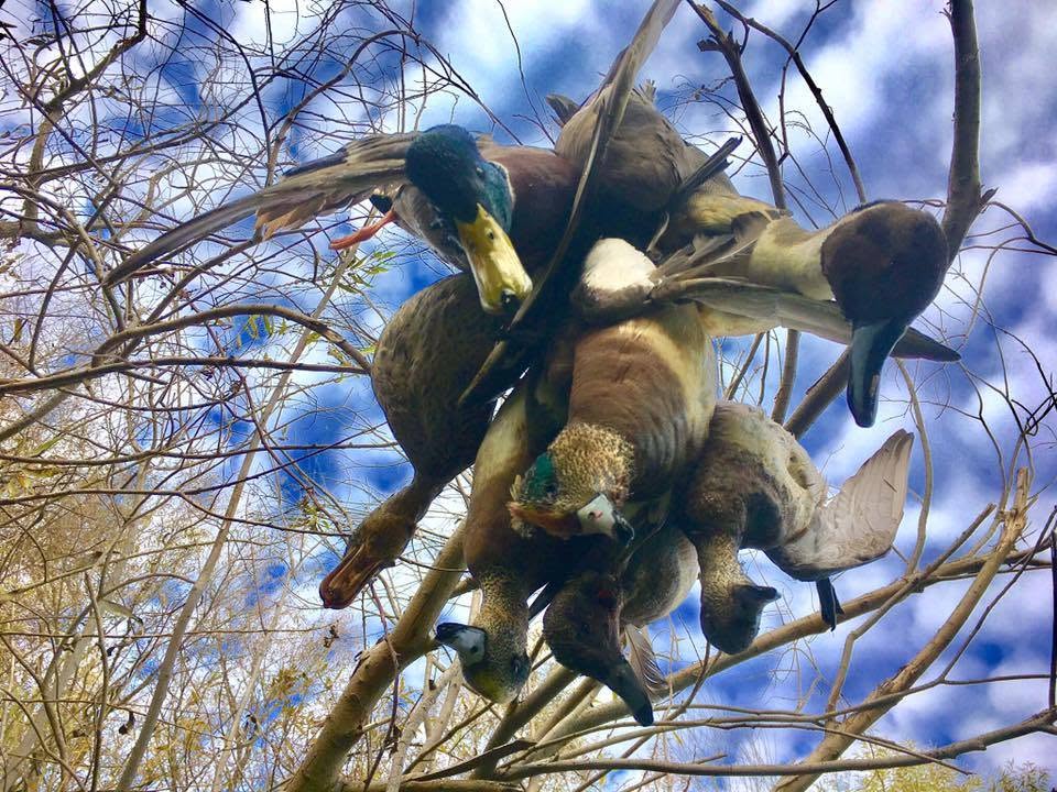 Pacific Flyway Waterfowlers (8)