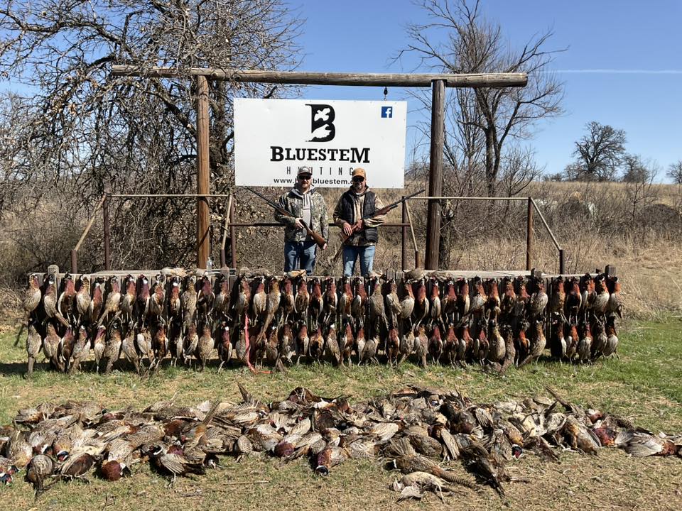 5-13 (9)