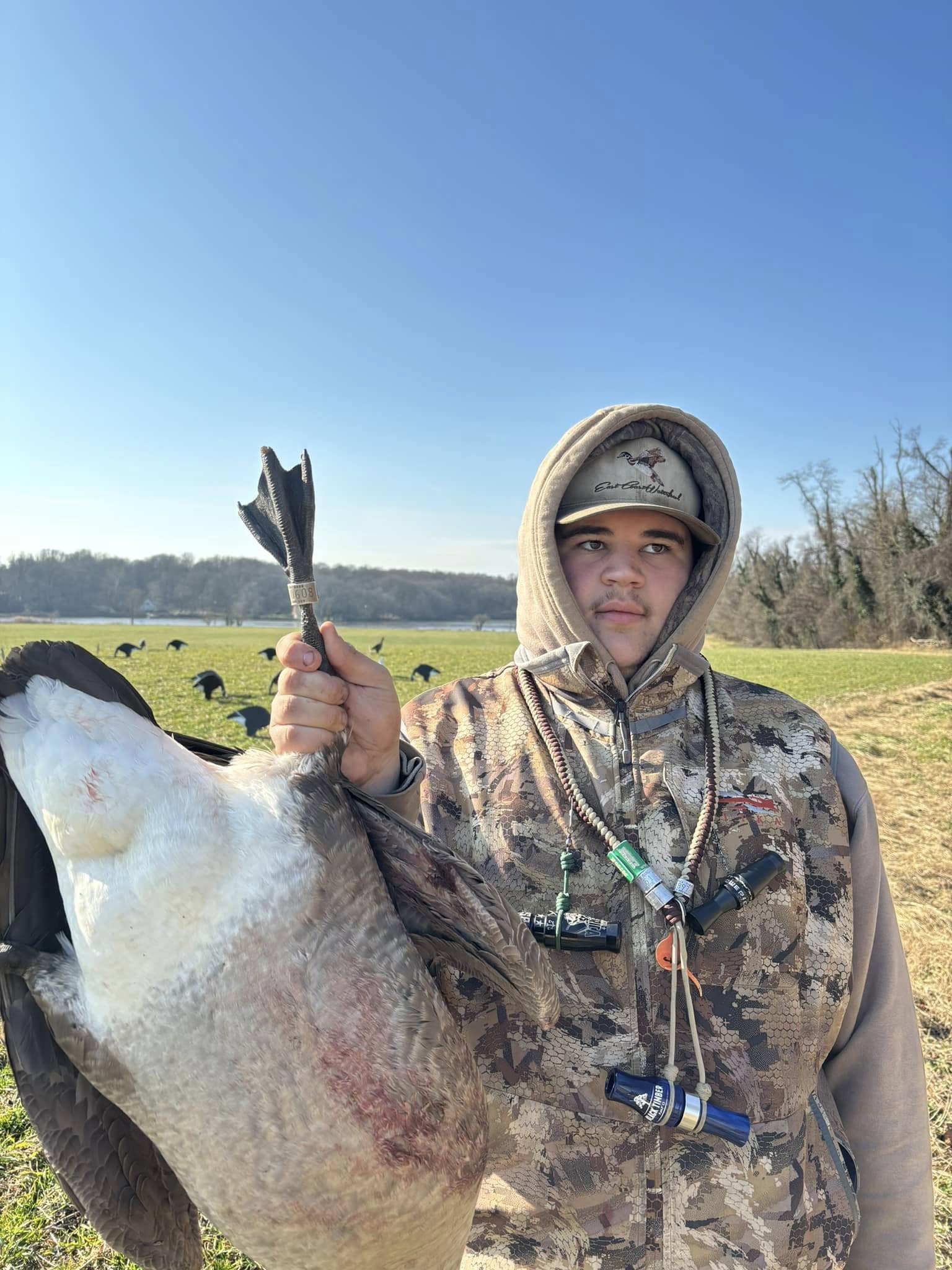 Fowl Play (12)