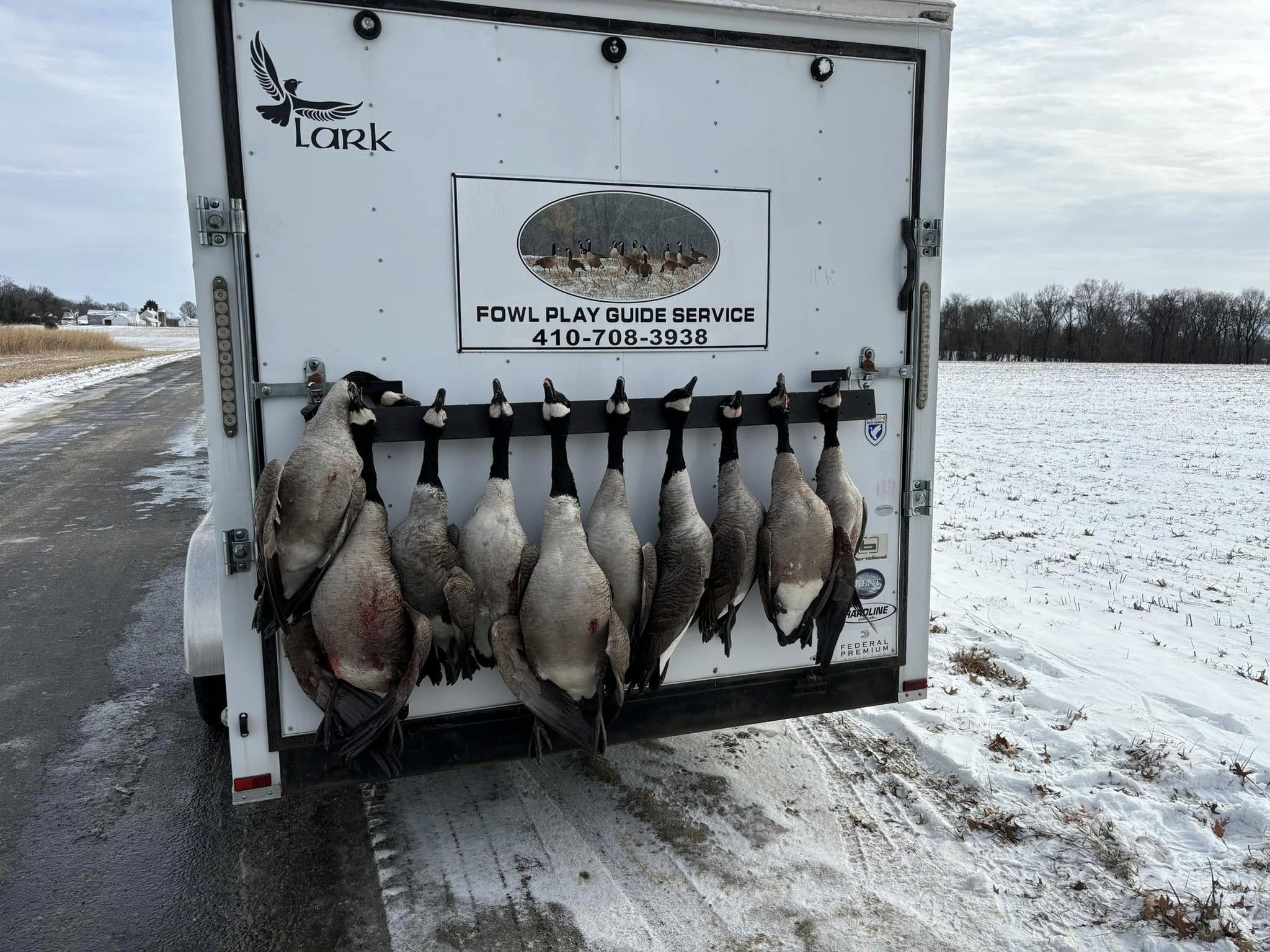 Fowl Play (5)