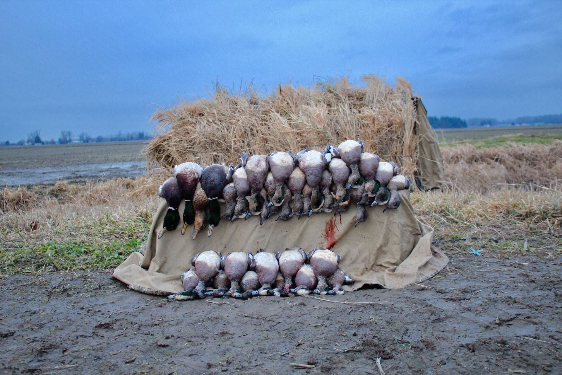 Pacific Flyway Waterfowlers (9)